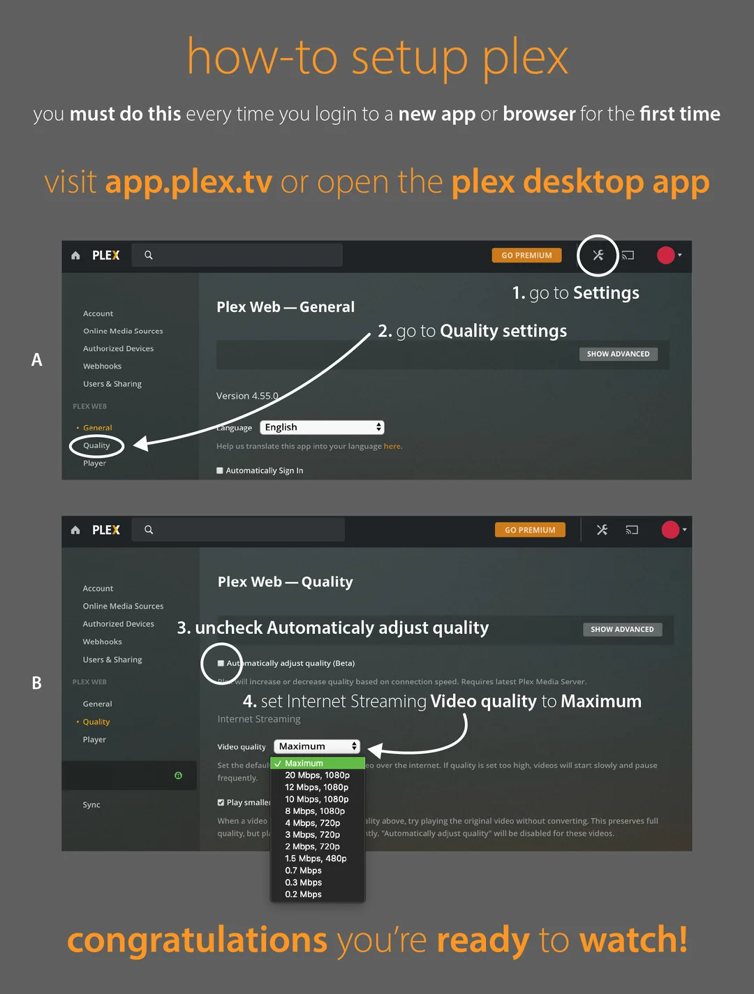 Plex Web Interface